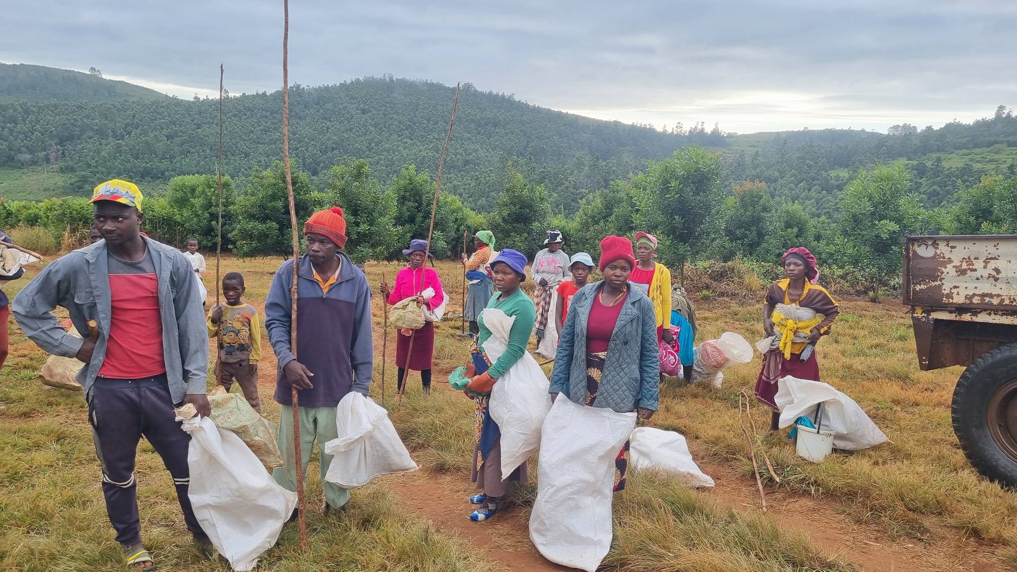 Estate and Neighbour Growers: Building a Zimbabwe Macadamia Book for UK and EU Buyers