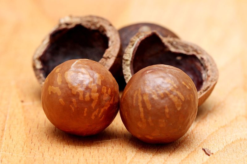 Large Macadamia NIS – >20mm